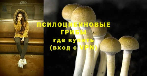 кокаин колумбия Алексин